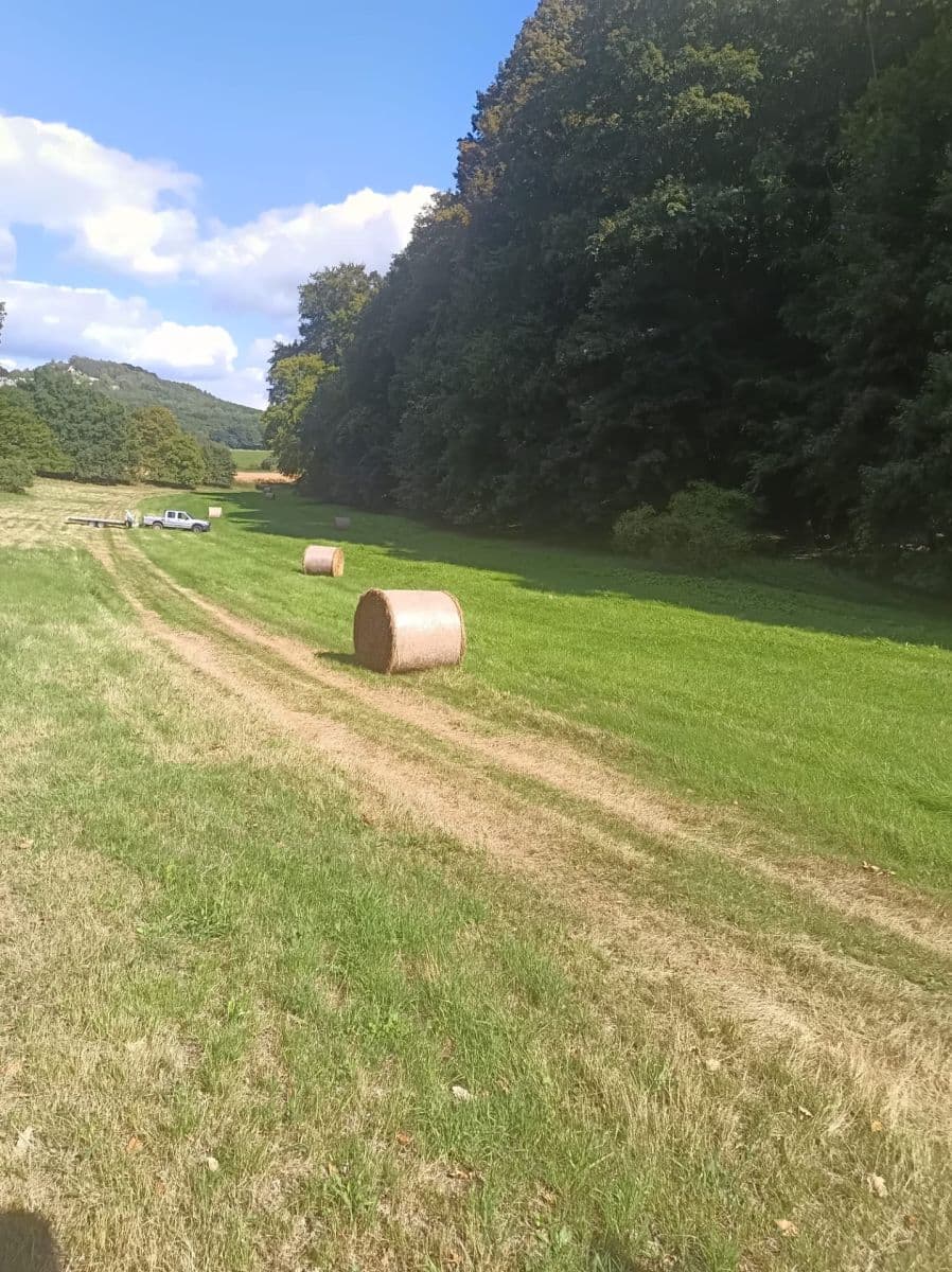 plot for sale, 12,761 m², Tachov, Liberecký Region plot for sale, 12,761 m², Tachov, Liberecký Region