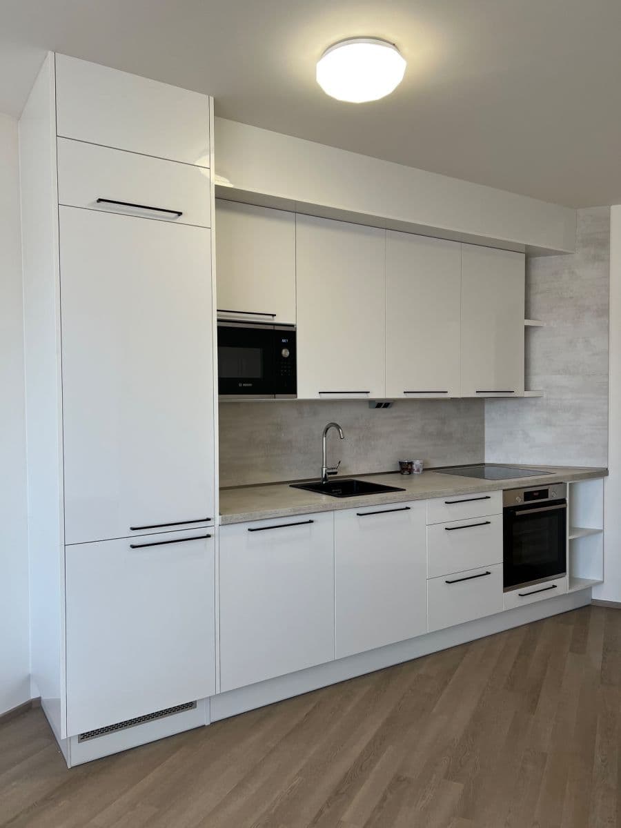 1 bedroom with open-plan kitchen flat to rent, 49 m², Baarové, Prague, Prague 1 bedroom with open-plan kitchen flat to rent, 49 m², Baarové, Prague, Prague