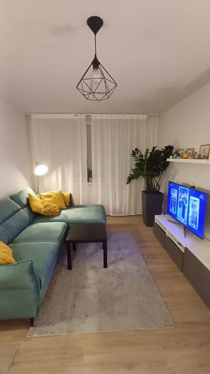 1 bedroom with open-plan kitchen flat to rent, 43 m², Luhovská, Prague, Prague 1 bedroom with open-plan kitchen flat to rent, 43 m², Luhovská, Prague, Prague