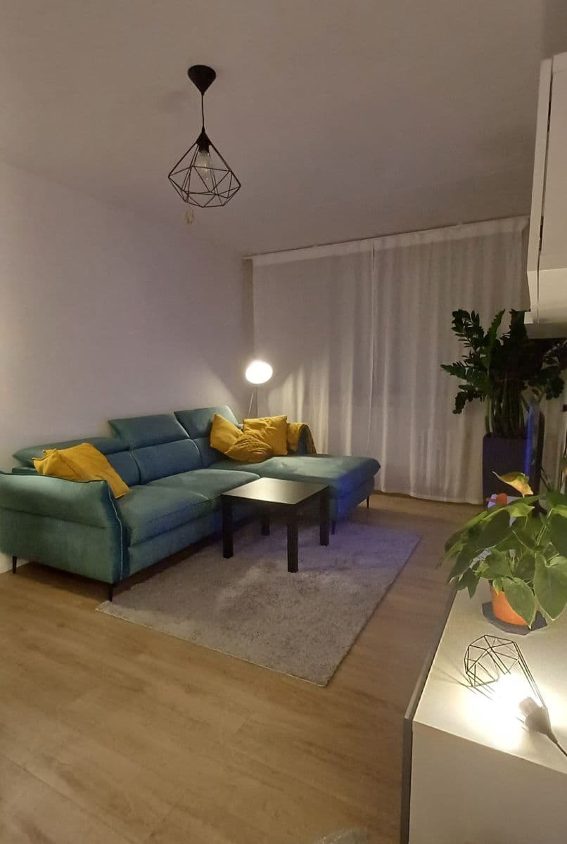 1 bedroom with open-plan kitchen flat to rent, 43 m², Luhovská, Prague, Prague 1 bedroom with open-plan kitchen flat to rent, 43 m², Luhovská, Prague, Prague