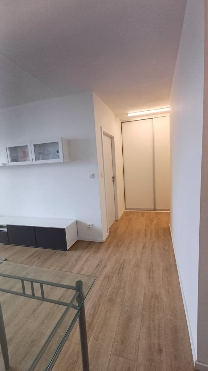 1 bedroom with open-plan kitchen flat to rent, 43 m², Luhovská, Prague, Prague 1 bedroom with open-plan kitchen flat to rent, 43 m², Luhovská, Prague, Prague