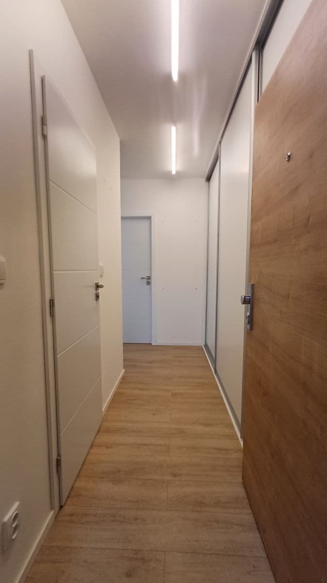 1 bedroom with open-plan kitchen flat to rent, 43 m², Luhovská, Prague, Prague 1 bedroom with open-plan kitchen flat to rent, 43 m², Luhovská, Prague, Prague
