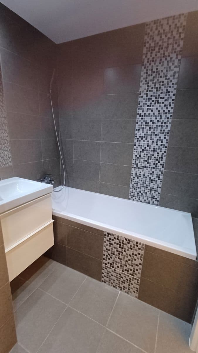 1 bedroom with open-plan kitchen flat to rent, 43 m², Luhovská, Prague, Prague 1 bedroom with open-plan kitchen flat to rent, 43 m², Luhovská, Prague, Prague