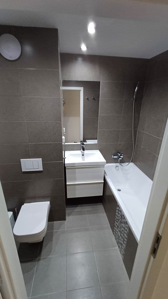 1 bedroom with open-plan kitchen flat to rent, 43 m², Luhovská, Prague, Prague 1 bedroom with open-plan kitchen flat to rent, 43 m², Luhovská, Prague, Prague
