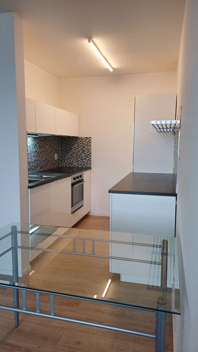 1 bedroom with open-plan kitchen flat to rent, 43 m², Luhovská, Prague, Prague 1 bedroom with open-plan kitchen flat to rent, 43 m², Luhovská, Prague, Prague
