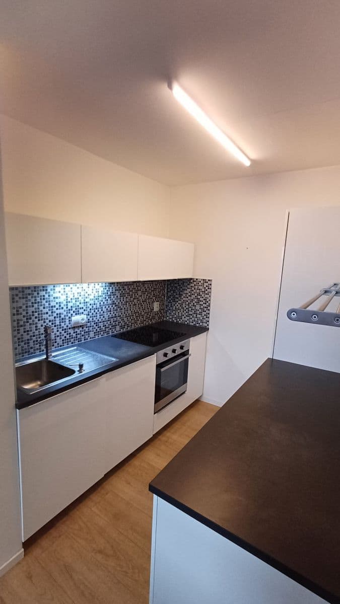 1 bedroom with open-plan kitchen flat to rent, 43 m², Luhovská, Prague, Prague 1 bedroom with open-plan kitchen flat to rent, 43 m², Luhovská, Prague, Prague