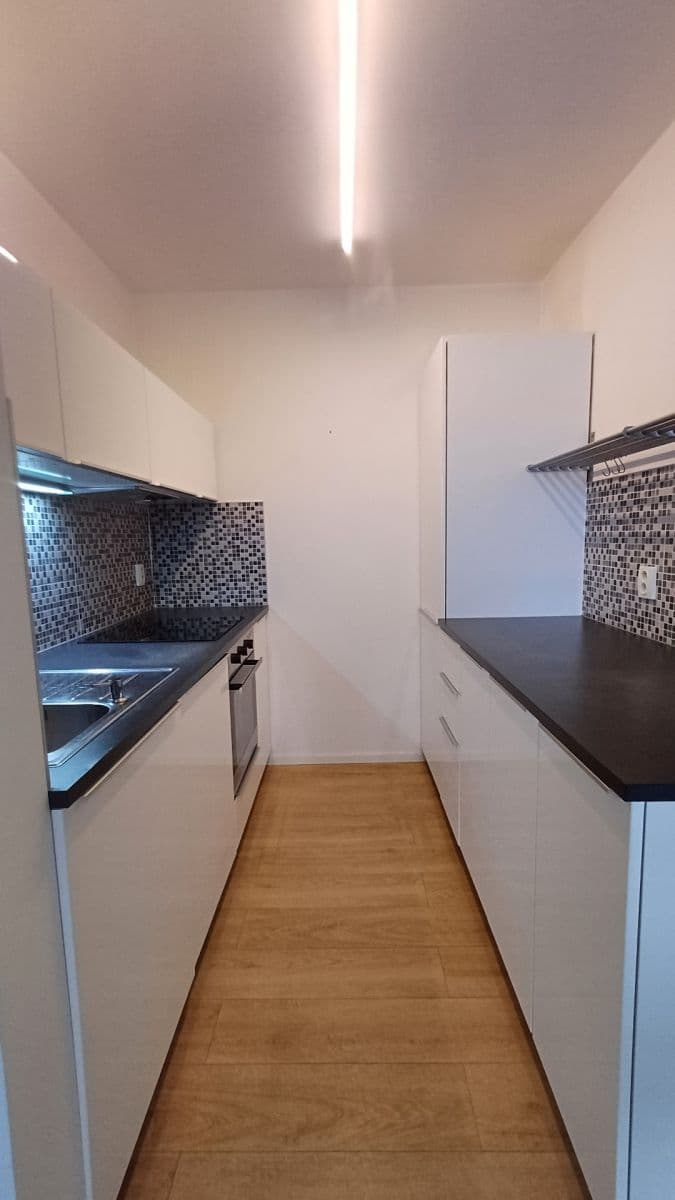 1 bedroom with open-plan kitchen flat to rent, 43 m², Luhovská, Prague, Prague 1 bedroom with open-plan kitchen flat to rent, 43 m², Luhovská, Prague, Prague