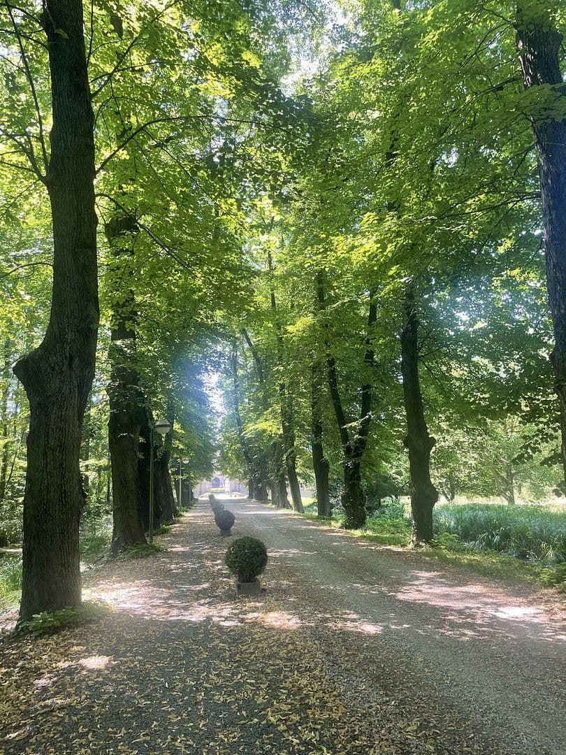 2 bedroom flat for sale, 60 m², Bergheim, North Rhine-Westphalia 2 bedroom flat for sale, 60 m², Bergheim, North Rhine-Westphalia