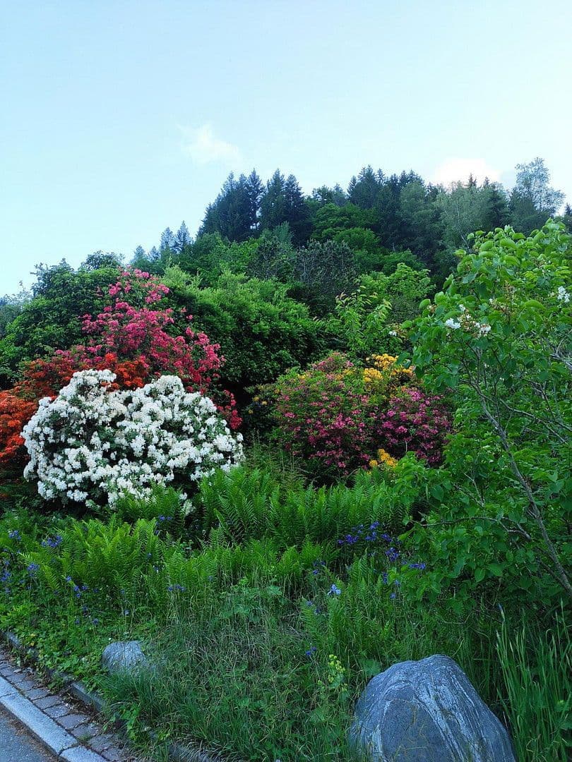 house for sale, 150 m², Schiltach, Baden-Württemberg house for sale, 150 m², Schiltach, Baden-Württemberg