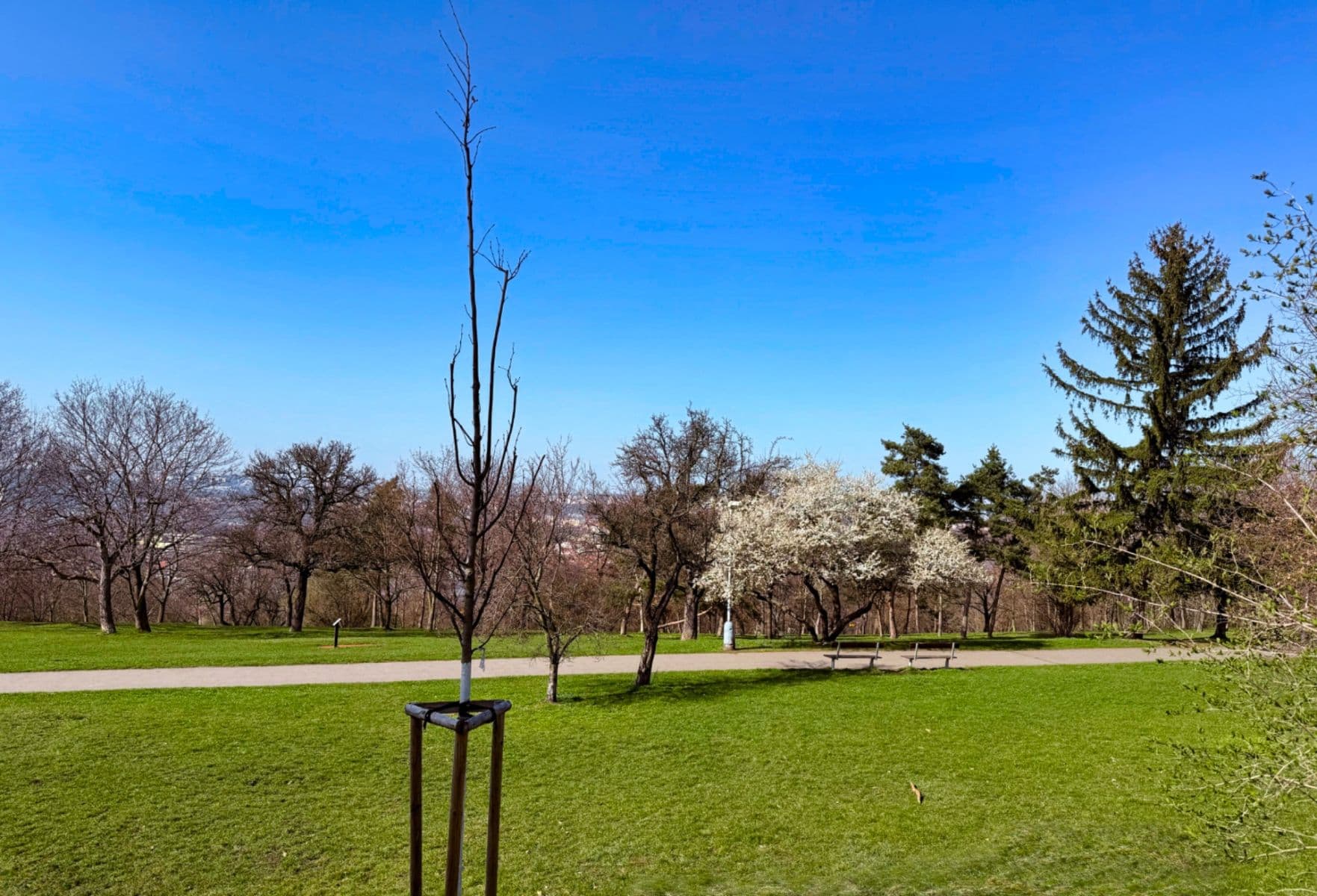 3 bedroom flat for sale, 72 m², Kunešova, Prague, Prague 3 bedroom flat for sale, 72 m², Kunešova, Prague, Prague