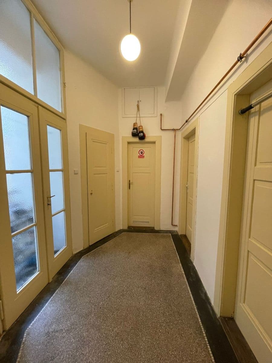 1 bedroom with open-plan kitchen flat to rent, 53 m², Podolská, Prague, Prague 1 bedroom with open-plan kitchen flat to rent, 53 m², Podolská, Prague, Prague