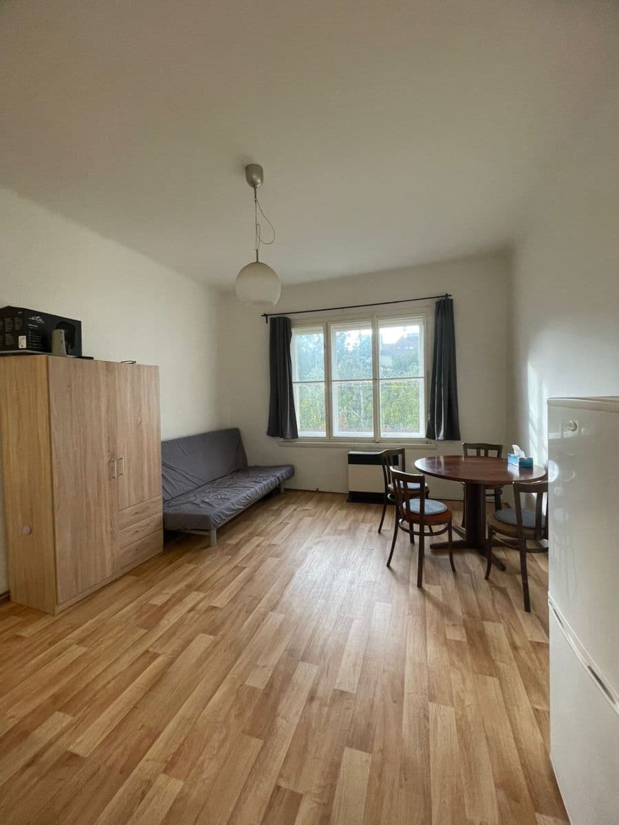 1 bedroom with open-plan kitchen flat to rent, 53 m², Podolská, Prague, Prague 1 bedroom with open-plan kitchen flat to rent, 53 m², Podolská, Prague, Prague