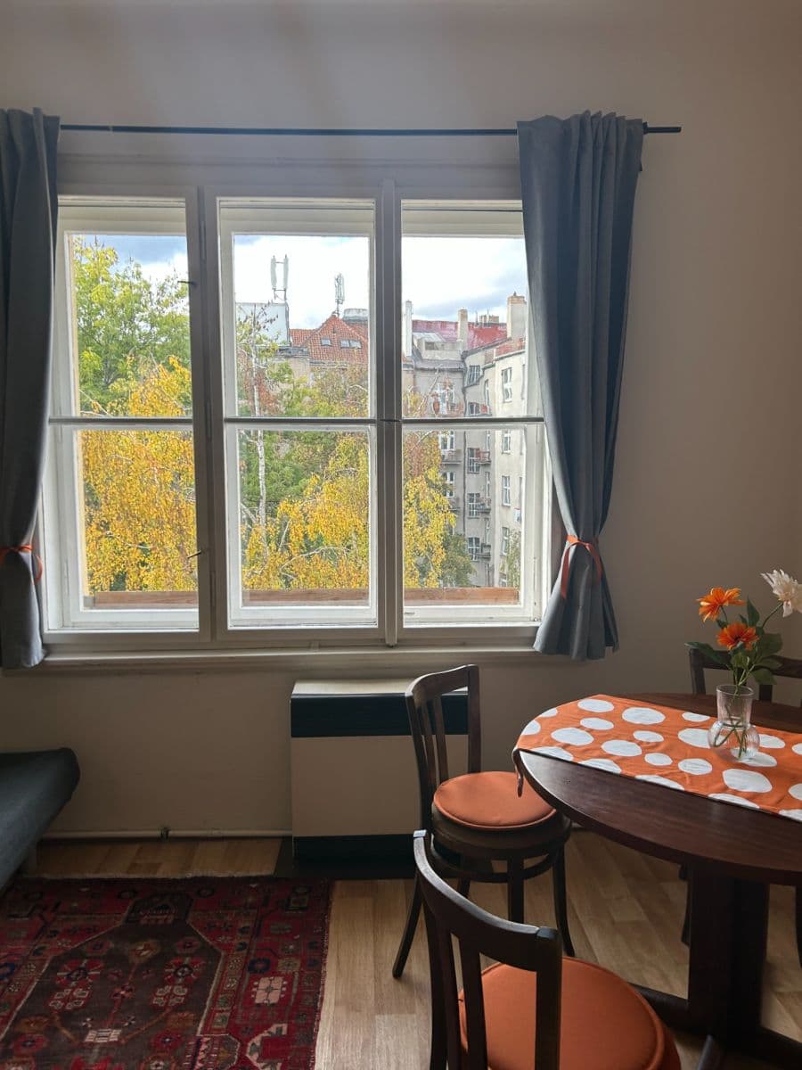 1 bedroom with open-plan kitchen flat to rent, 53 m², Podolská, Prague, Prague 1 bedroom with open-plan kitchen flat to rent, 53 m², Podolská, Prague, Prague