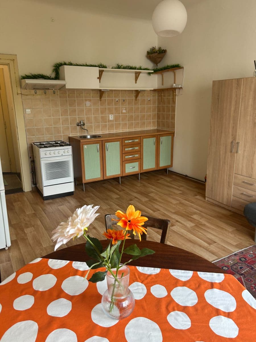 1 bedroom with open-plan kitchen flat to rent, 53 m², Podolská, Prague, Prague 1 bedroom with open-plan kitchen flat to rent, 53 m², Podolská, Prague, Prague