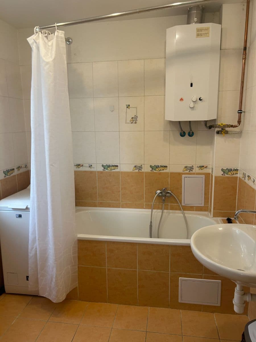 1 bedroom with open-plan kitchen flat to rent, 53 m², Podolská, Prague, Prague 1 bedroom with open-plan kitchen flat to rent, 53 m², Podolská, Prague, Prague