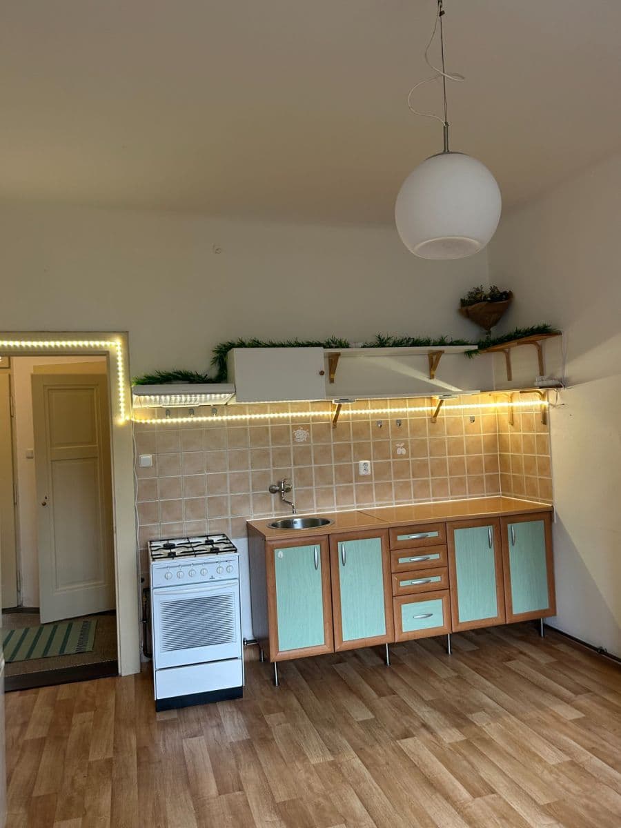 1 bedroom with open-plan kitchen flat to rent, 53 m², Podolská, Prague, Prague 1 bedroom with open-plan kitchen flat to rent, 53 m², Podolská, Prague, Prague