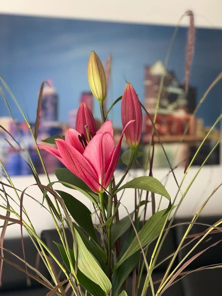 1 bedroom flat to rent, 65 m², Hamburg, Hamburg 1 bedroom flat to rent, 65 m², Hamburg, Hamburg