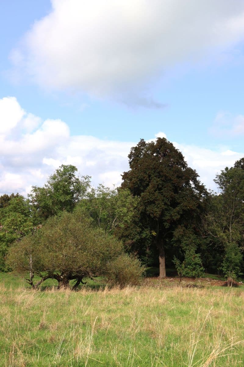 plot for sale, 31,419 m², Verneřice, Ústecký Region plot for sale, 31,419 m², Verneřice, Ústecký Region