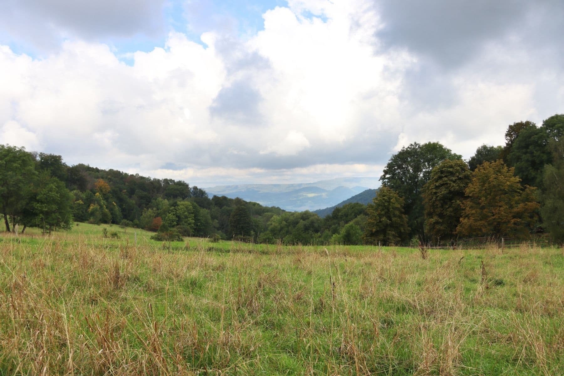 plot for sale, 31,419 m², Verneřice, Ústecký Region plot for sale, 31,419 m², Verneřice, Ústecký Region