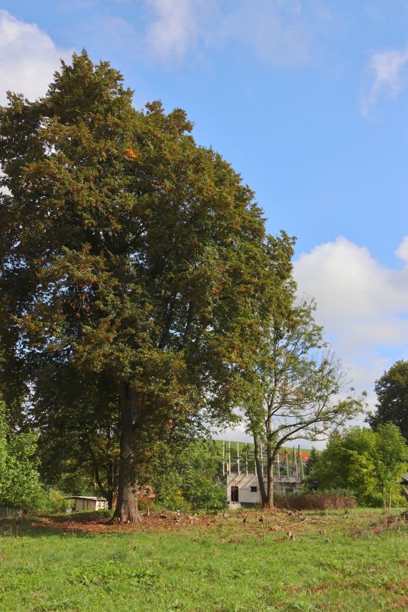 plot for sale, 31,419 m², Verneřice, Ústecký Region plot for sale, 31,419 m², Verneřice, Ústecký Region