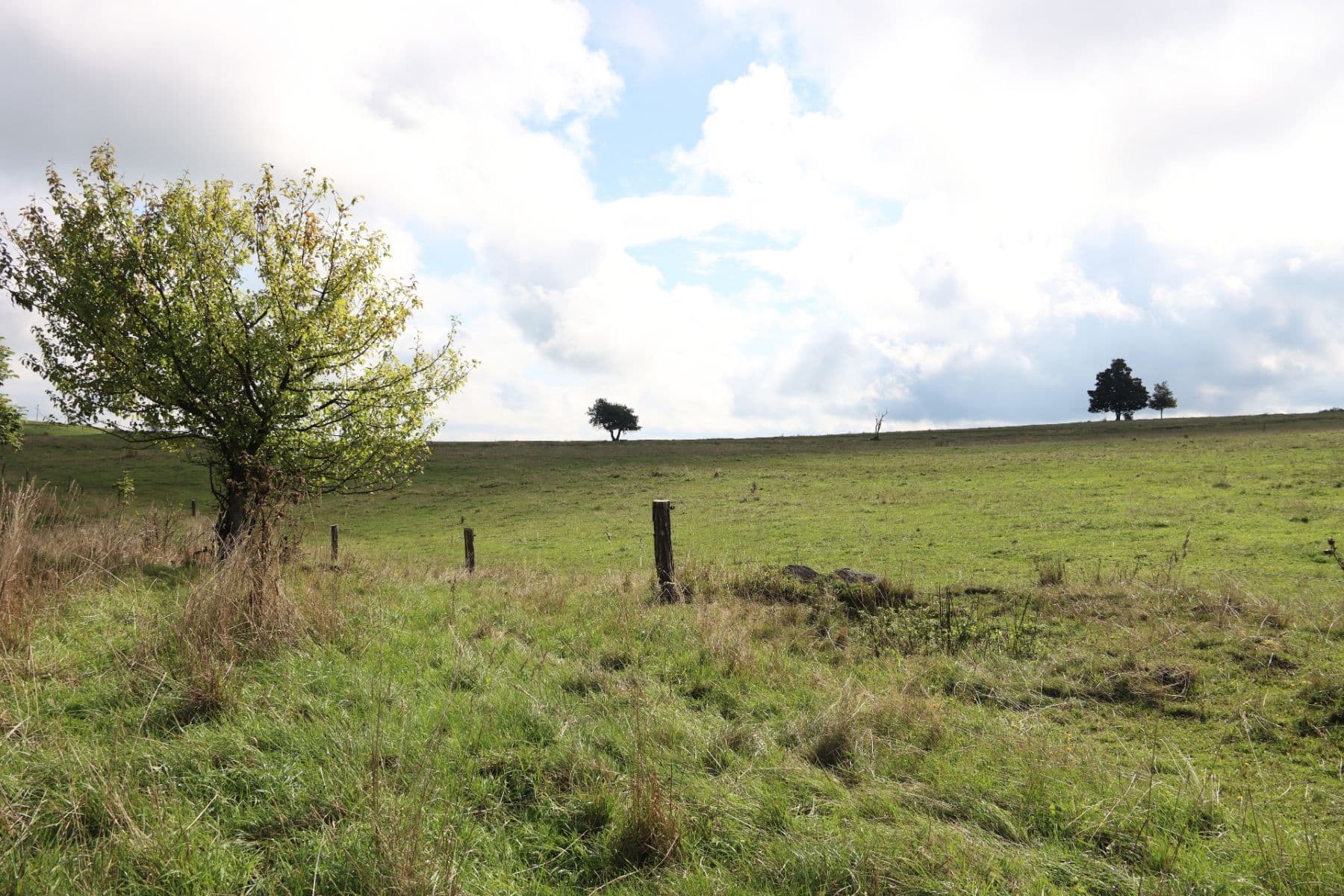 plot for sale, 31,419 m², Verneřice, Ústecký Region plot for sale, 31,419 m², Verneřice, Ústecký Region