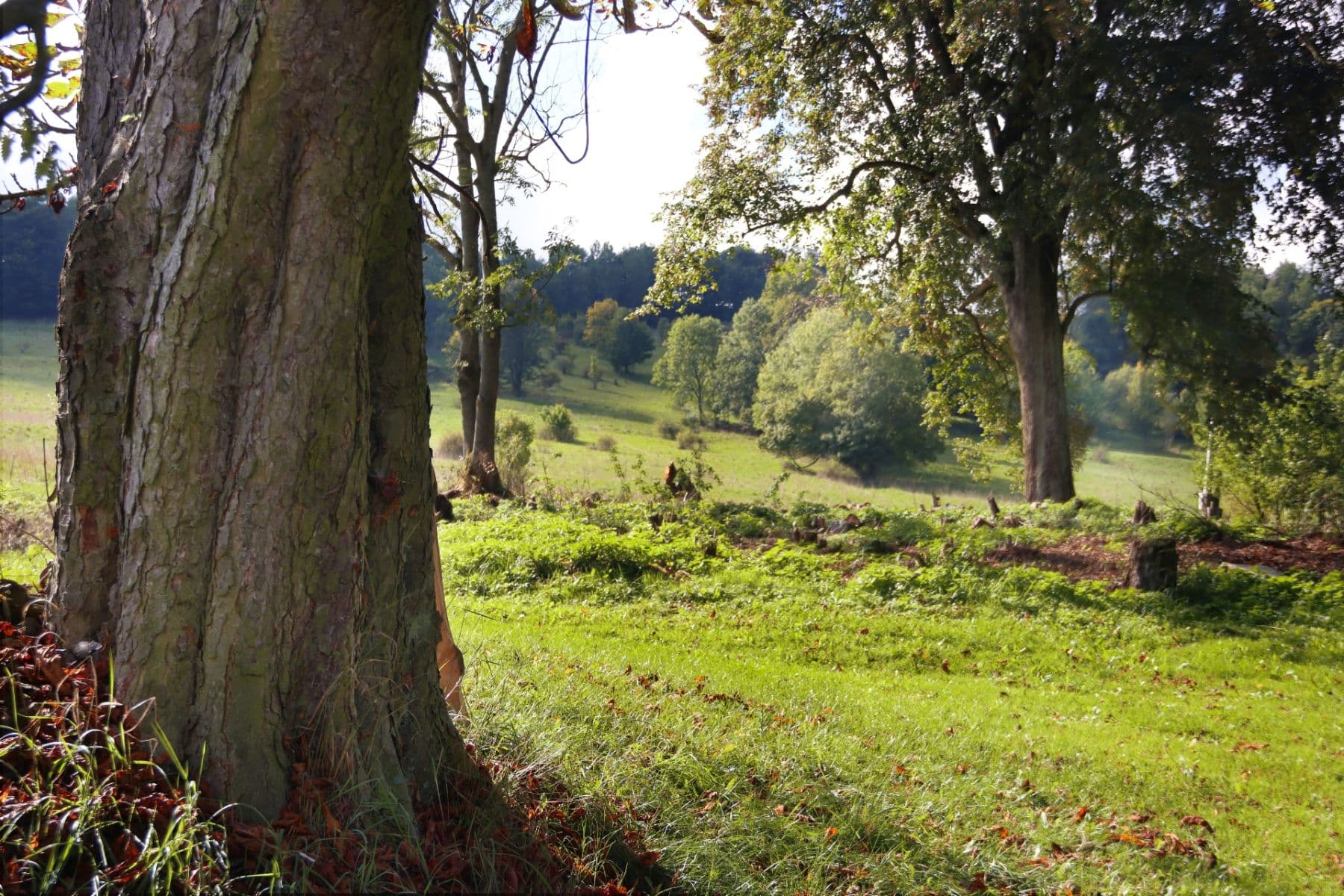 plot for sale, 31,419 m², Verneřice, Ústecký Region plot for sale, 31,419 m², Verneřice, Ústecký Region