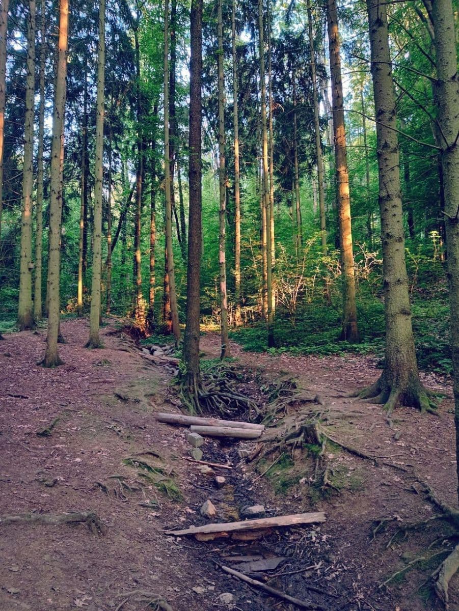 1 bedroom with open-plan kitchen flat for sale, 45 m², Zahradníčkova, Prague, Prague 1 bedroom with open-plan kitchen flat for sale, 45 m², Zahradníčkova, Prague, Prague