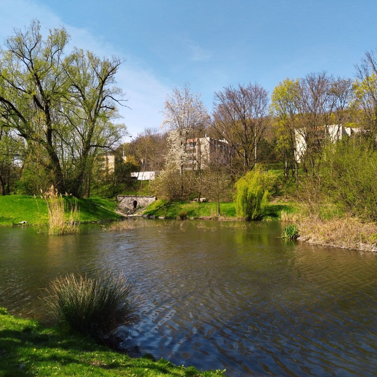 1 bedroom with open-plan kitchen flat for sale, 45 m², Zahradníčkova, Prague, Prague 1 bedroom with open-plan kitchen flat for sale, 45 m², Zahradníčkova, Prague, Prague