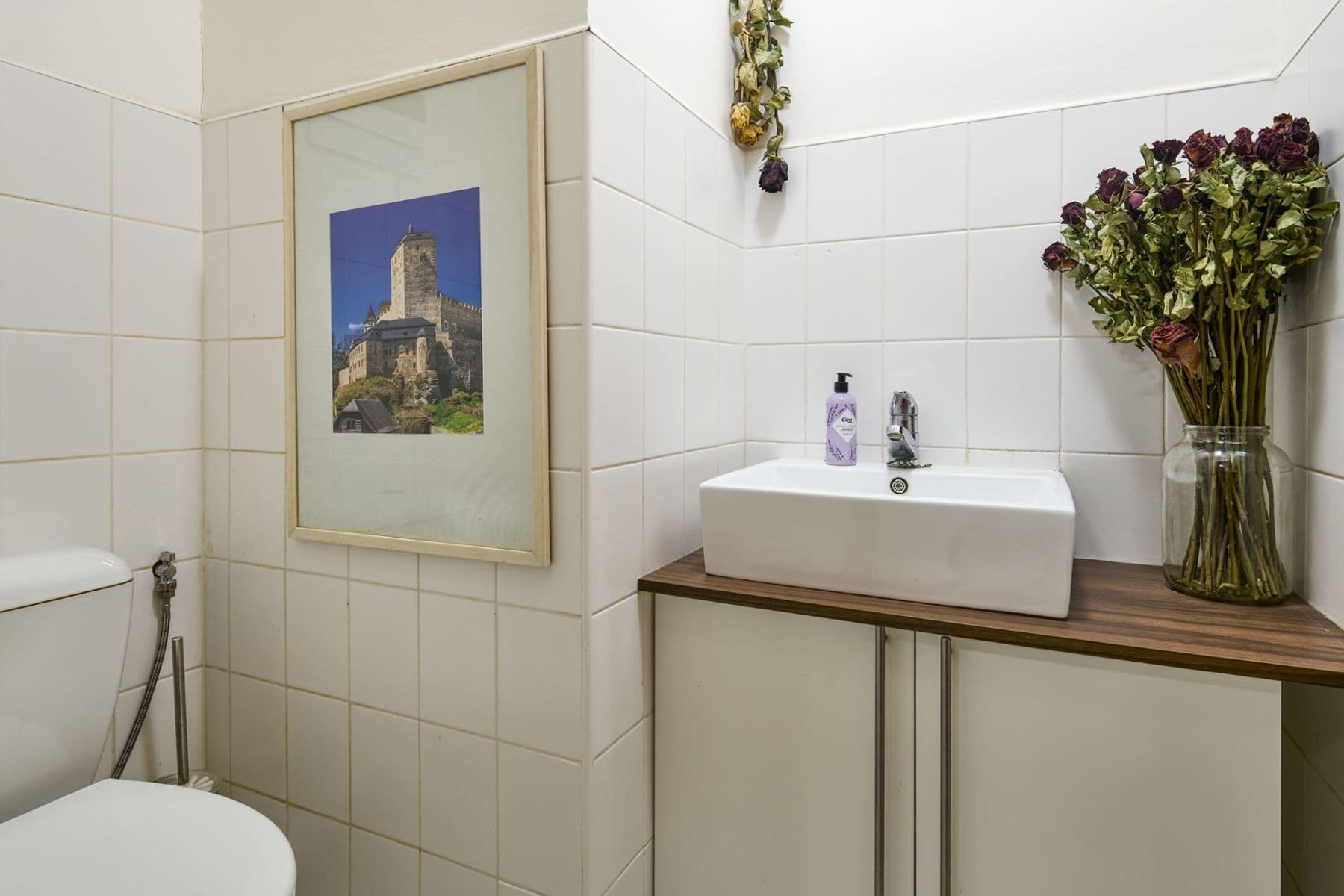 2 bedroom with open-plan kitchen flat for sale, 92 m², Velká skála, Prague, Prague 2 bedroom with open-plan kitchen flat for sale, 92 m², Velká skála, Prague, Prague