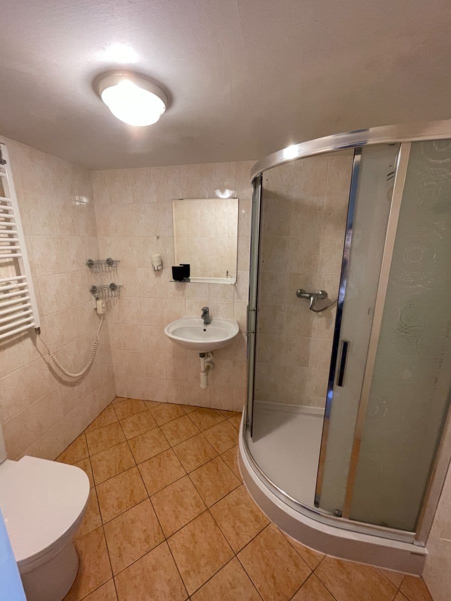 Studio flat for sale, 25 m², Nuselská, Prague, Prague Studio flat for sale, 25 m², Nuselská, Prague, Prague