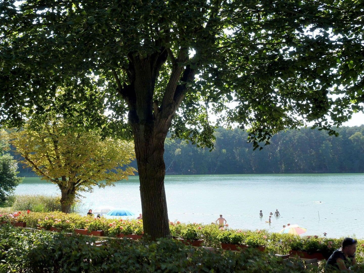 house for sale, 72 m², Biesenthal, Brandenburg house for sale, 72 m², Biesenthal, Brandenburg