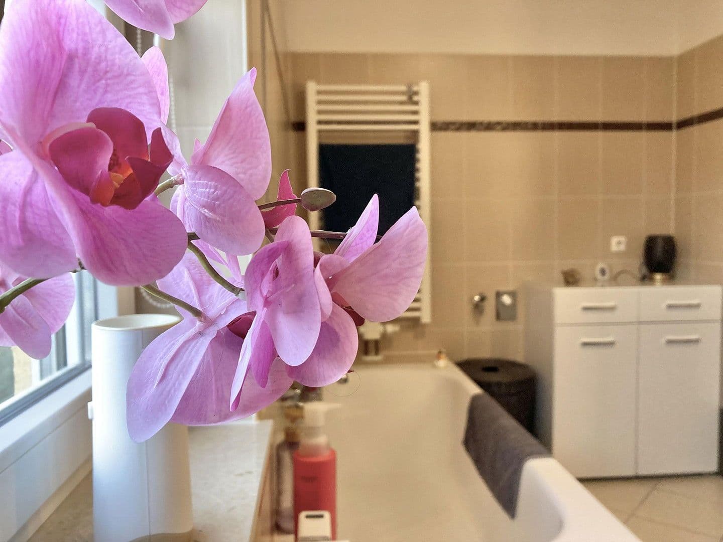 house for sale, 115 m², Weinböhla, Saxony house for sale, 115 m², Weinböhla, Saxony