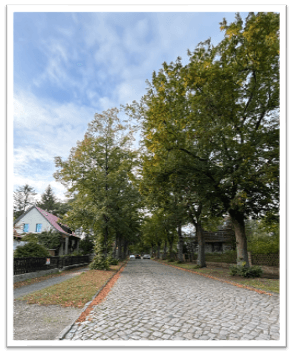 house for sale, 75 m², Zeuthen, Brandenburg house for sale, 75 m², Zeuthen, Brandenburg