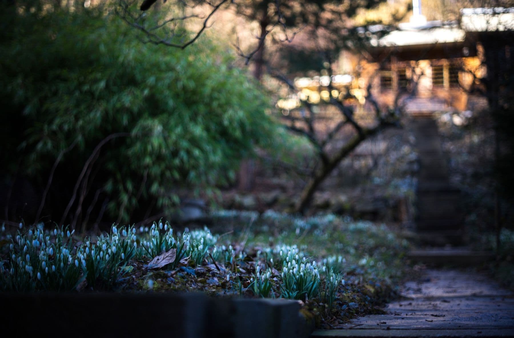 recreational property for sale, 1 m², Brno, Jihomoravský Region recreational property for sale, 1 m², Brno, Jihomoravský Region