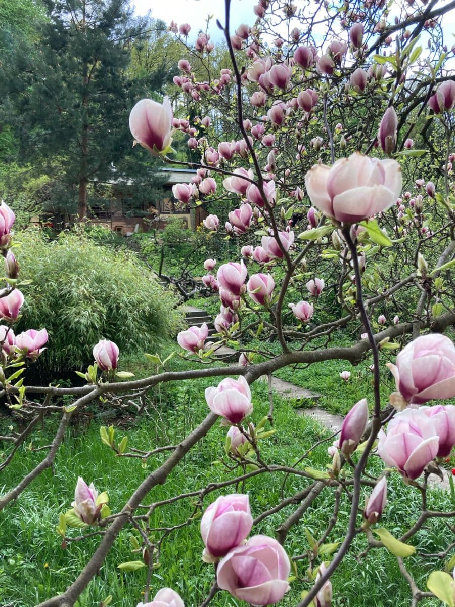 recreational property for sale, 1 m², Brno, Jihomoravský Region recreational property for sale, 1 m², Brno, Jihomoravský Region