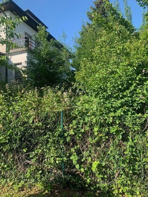 house for sale, 304 m², Tannenweg 3, Limbach, Baden-Württemberg house for sale, 304 m², Tannenweg 3, Limbach, Baden-Württemberg