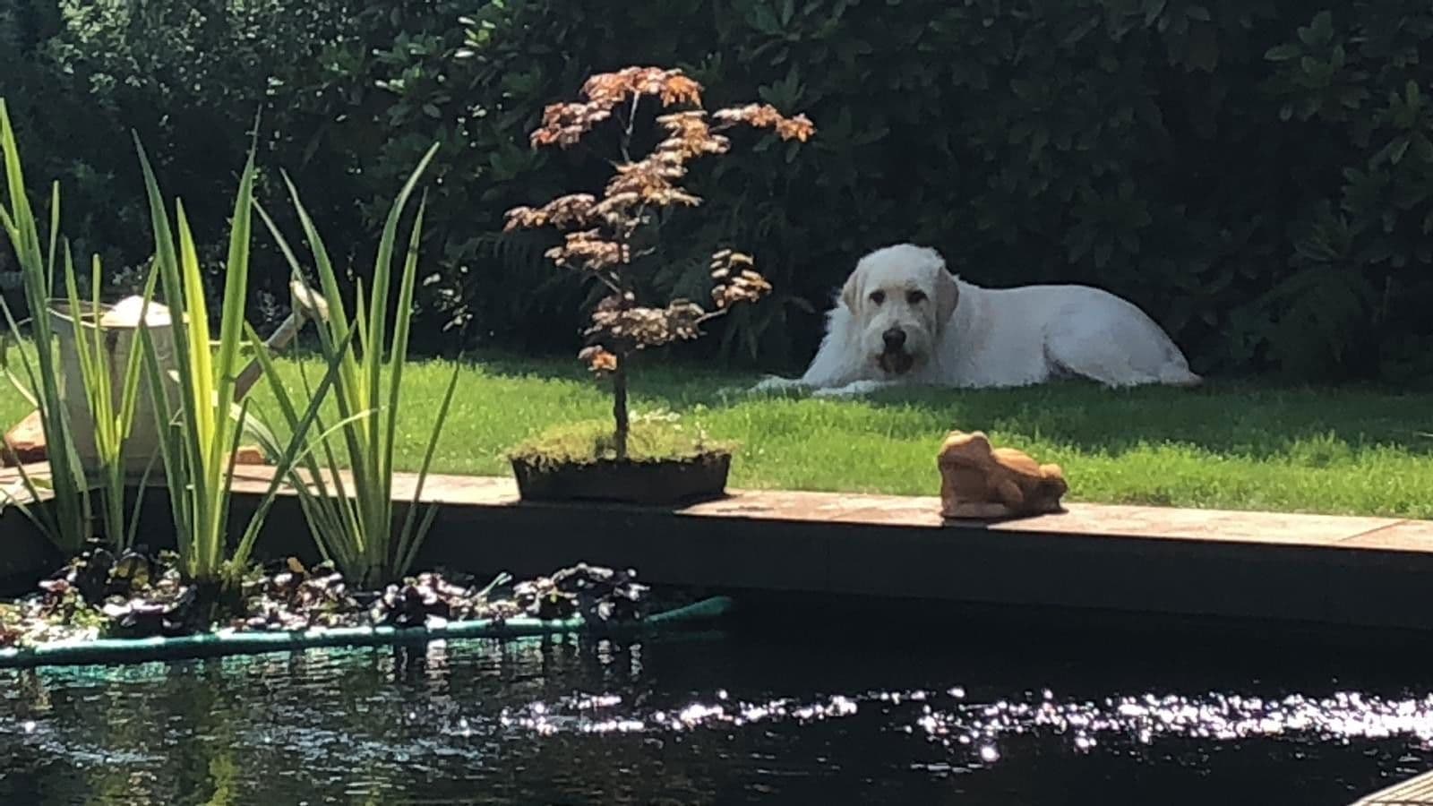 house for sale, 170 m², Hamminkeln, North Rhine-Westphalia house for sale, 170 m², Hamminkeln, North Rhine-Westphalia