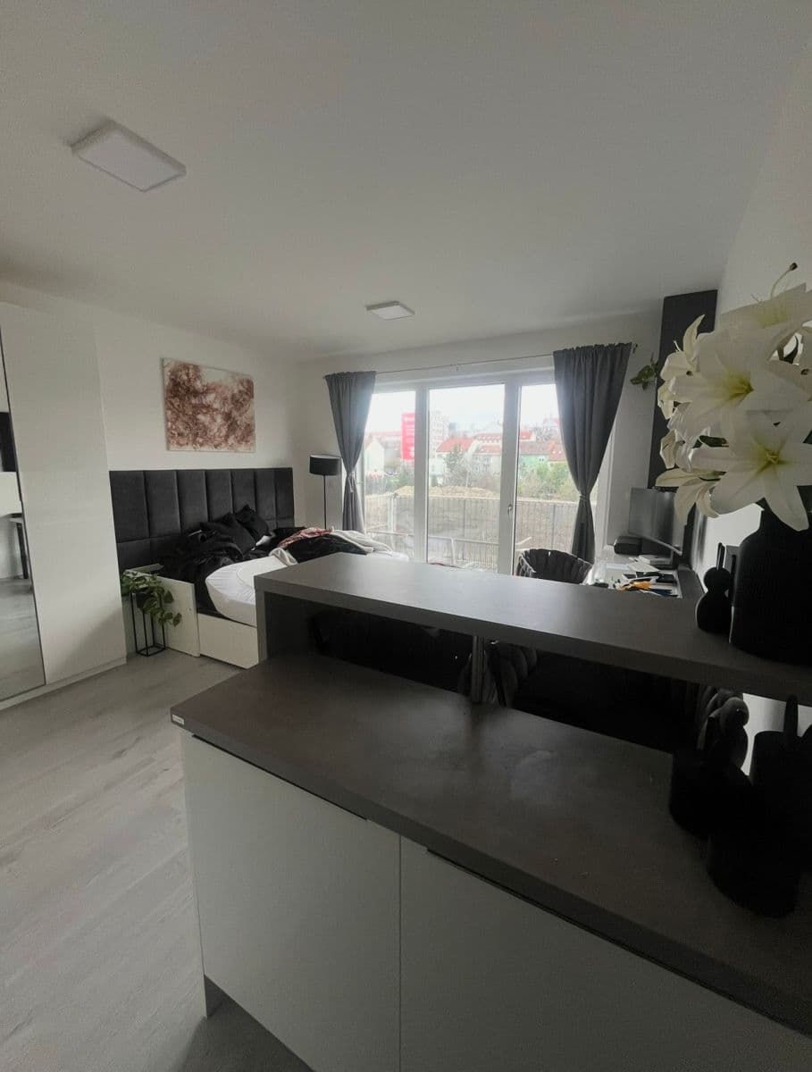Studio flat to rent, 38 m², Střední, Brno, Jihomoravský Region Studio flat to rent, 38 m², Střední, Brno, Jihomoravský Region