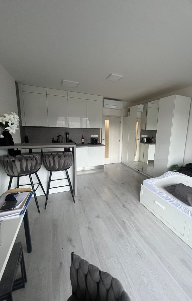 Studio flat to rent, 38 m², Střední, Brno, Jihomoravský Region Studio flat to rent, 38 m², Střední, Brno, Jihomoravský Region