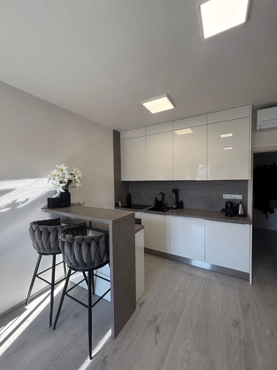 Studio flat to rent, 38 m², Střední, Brno, Jihomoravský Region Studio flat to rent, 38 m², Střední, Brno, Jihomoravský Region