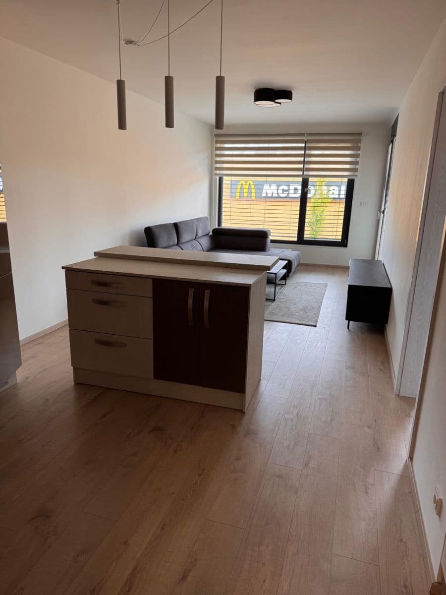 1 bedroom with open-plan kitchen flat to rent, 60 m², Ocelářská, Prague, Prague 1 bedroom with open-plan kitchen flat to rent, 60 m², Ocelářská, Prague, Prague