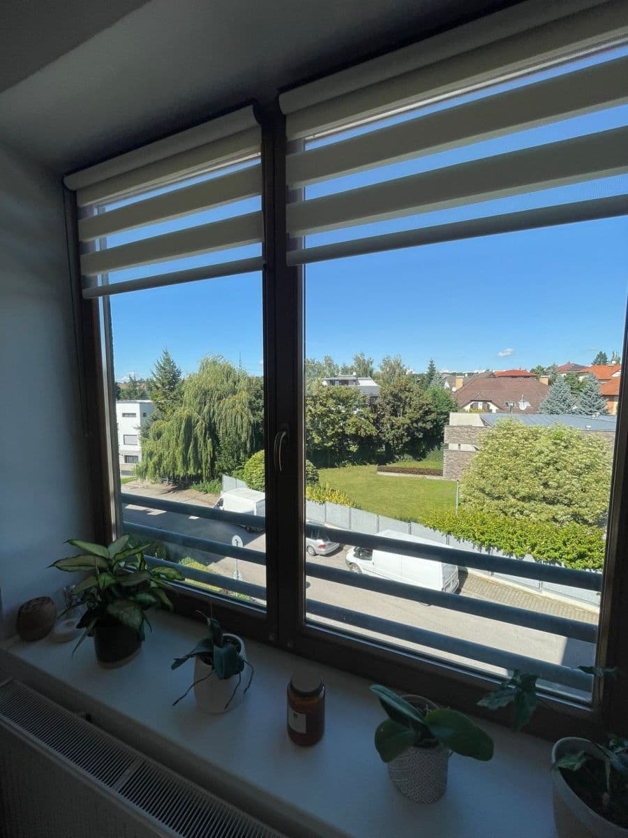 1 bedroom with open-plan kitchen flat to rent, 59 m², U Jízdárny, Prague, Prague 1 bedroom with open-plan kitchen flat to rent, 59 m², U Jízdárny, Prague, Prague