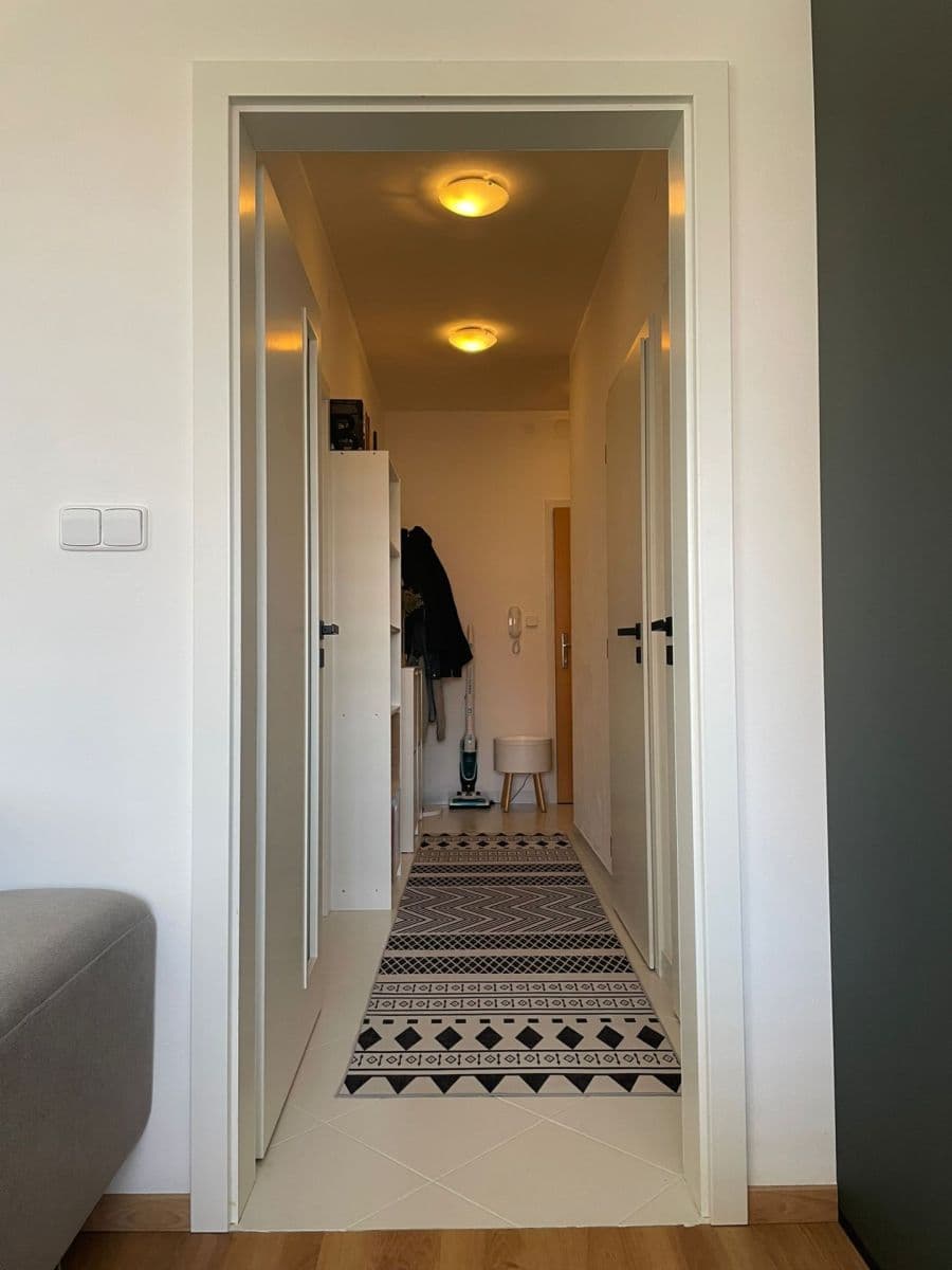 1 bedroom with open-plan kitchen flat to rent, 59 m², U Jízdárny, Prague, Prague 1 bedroom with open-plan kitchen flat to rent, 59 m², U Jízdárny, Prague, Prague