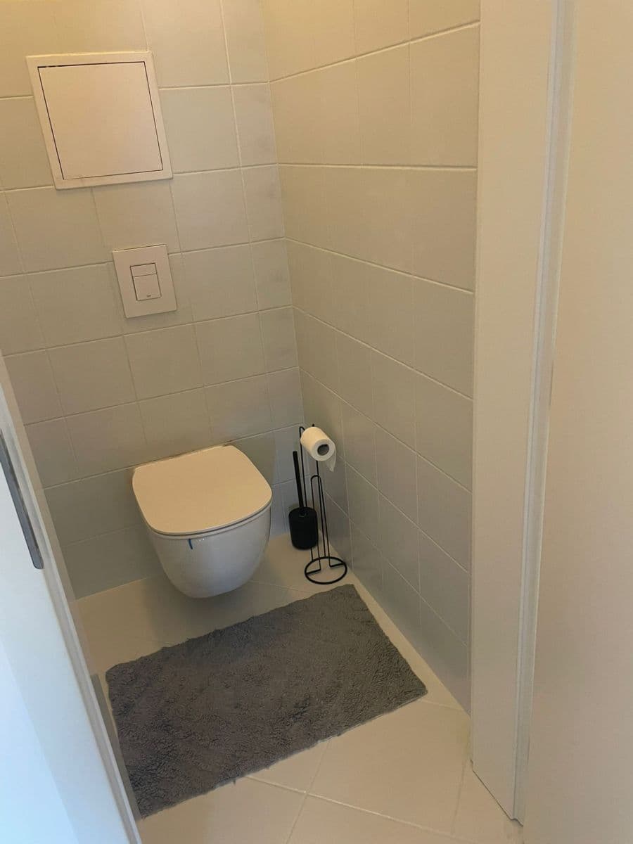 1 bedroom with open-plan kitchen flat to rent, 59 m², U Jízdárny, Prague, Prague 1 bedroom with open-plan kitchen flat to rent, 59 m², U Jízdárny, Prague, Prague