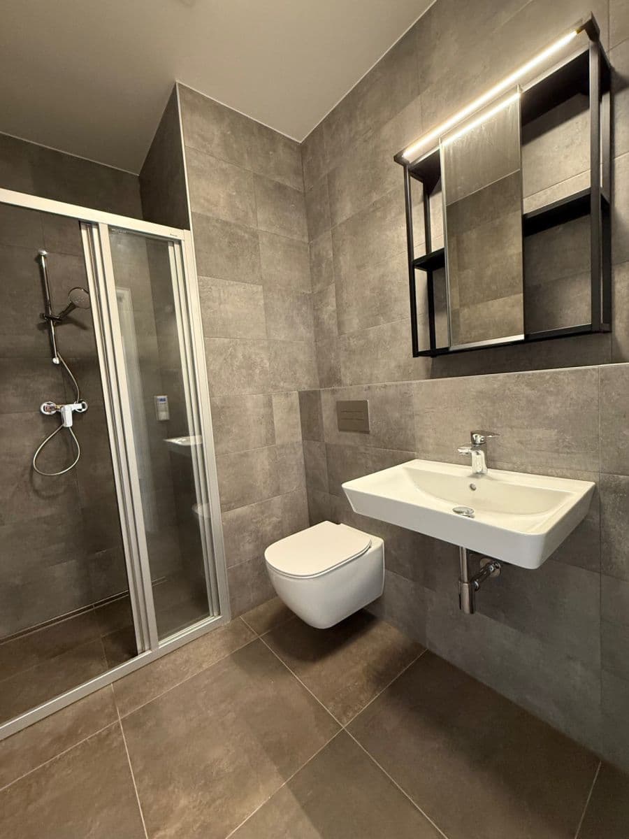 1 bedroom with open-plan kitchen flat to rent, 52 m², Malešická, Prague, Prague 1 bedroom with open-plan kitchen flat to rent, 52 m², Malešická, Prague, Prague