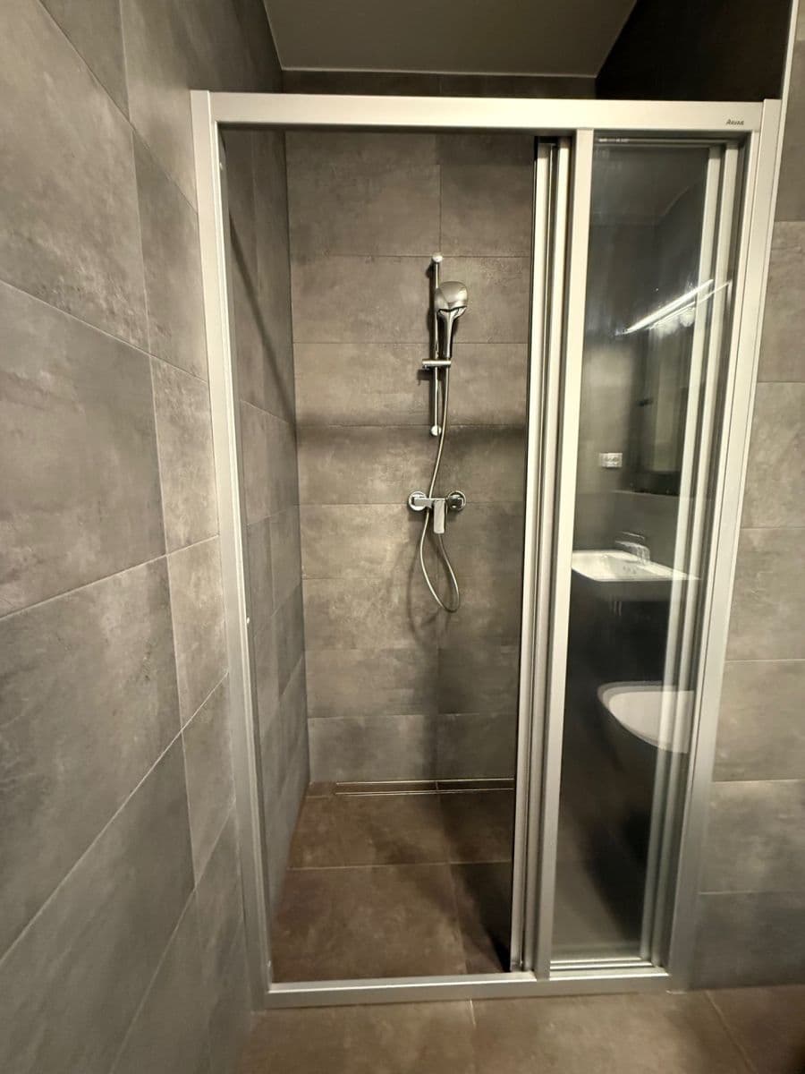 1 bedroom with open-plan kitchen flat to rent, 52 m², Malešická, Prague, Prague 1 bedroom with open-plan kitchen flat to rent, 52 m², Malešická, Prague, Prague