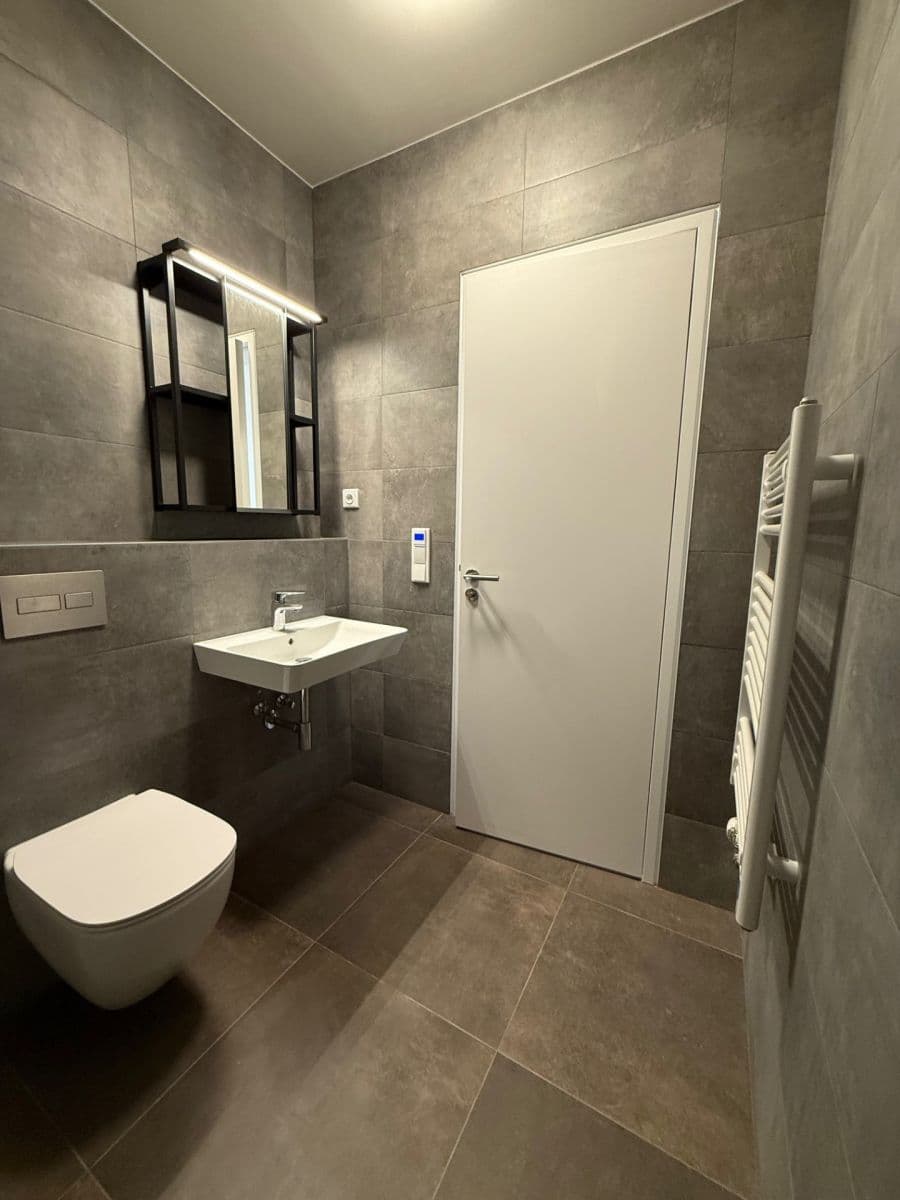 1 bedroom with open-plan kitchen flat to rent, 52 m², Malešická, Prague, Prague 1 bedroom with open-plan kitchen flat to rent, 52 m², Malešická, Prague, Prague