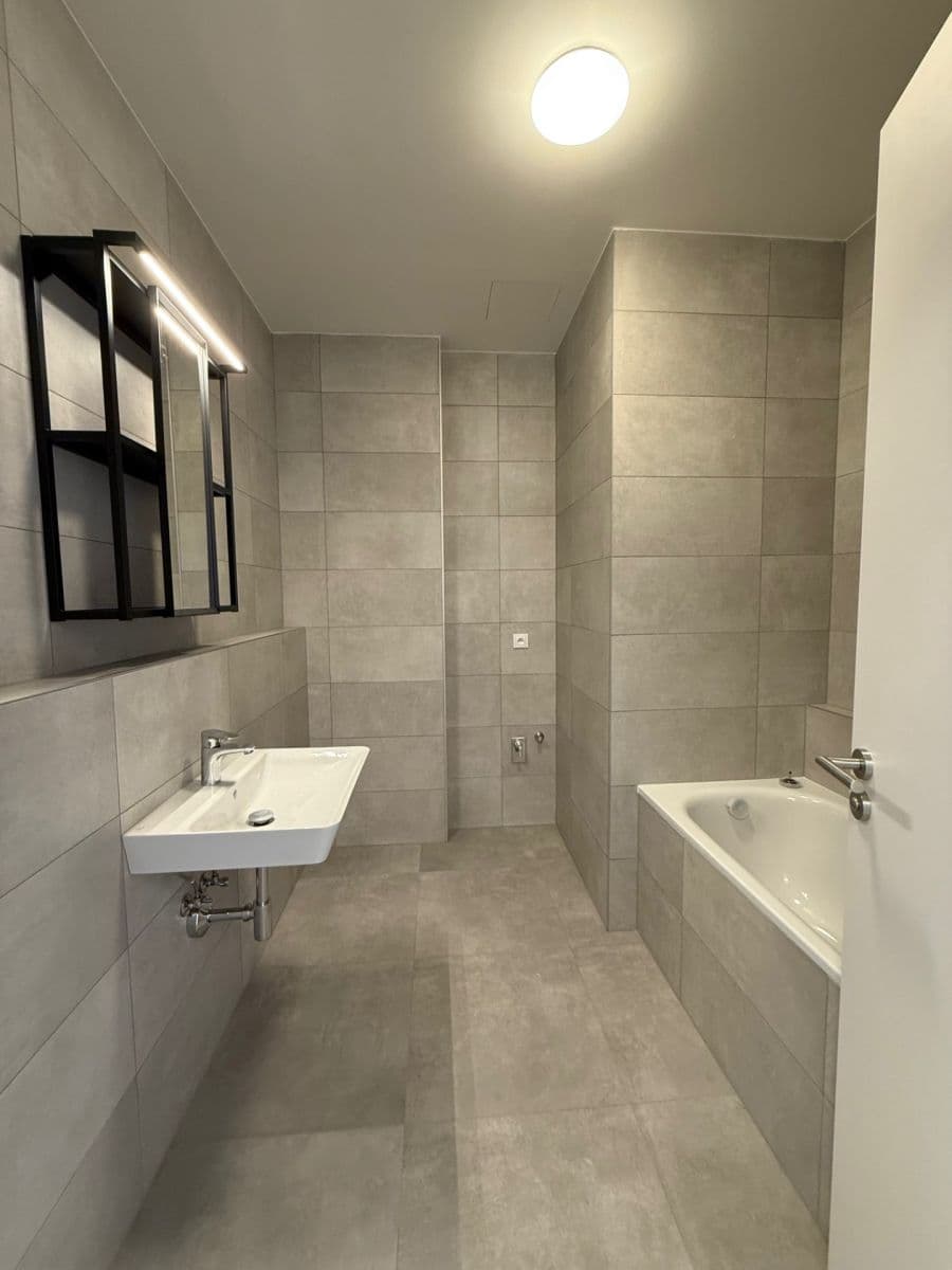 1 bedroom with open-plan kitchen flat to rent, 57 m², Malešická, Prague, Prague 1 bedroom with open-plan kitchen flat to rent, 57 m², Malešická, Prague, Prague