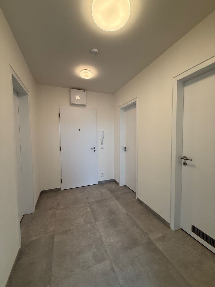 1 bedroom with open-plan kitchen flat to rent, 57 m², Malešická, Prague, Prague 1 bedroom with open-plan kitchen flat to rent, 57 m², Malešická, Prague, Prague