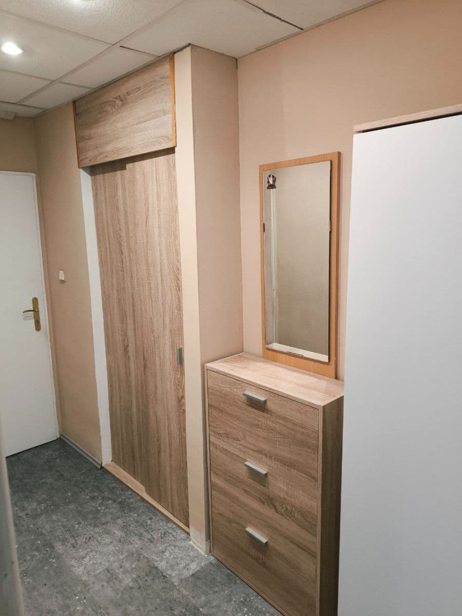 1 bedroom with open-plan kitchen flat to rent, 53 m², Mochovská, Prague, Prague 1 bedroom with open-plan kitchen flat to rent, 53 m², Mochovská, Prague, Prague